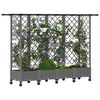 Imagen en miniatura del producto 3 de 9