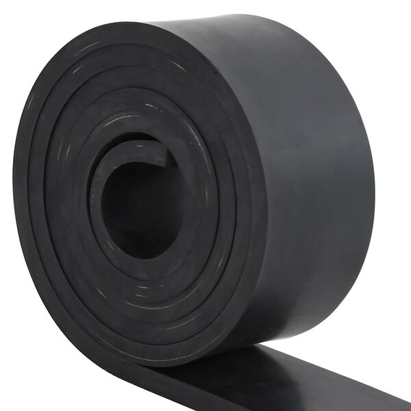vidaXL Borde de goma para quitanieves negro 250x8x1 cm