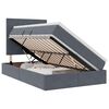 vidaXL Cama de almacenamiento LED con colch&oacute;n Gris oscuro 120 x 190 cm
