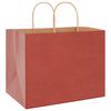 vidaXL Bolsas de papel con asas 250 uds rojo 32x22x24 cm