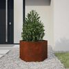 vidaXL Jardinera de acero corten oxidado 60x60x45 cm