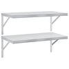 vidaXL Estantes de pared 2 uds acero inoxidable plateado 75x40 cm