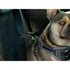 Kerbl Arn&eacute;s de seguridad de coche para mascotas negro 50-65 cm