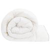Imagen en miniatura del producto 6 de 10