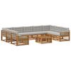 vidaXL Conjunto de sof&aacute;s de exterior 10 uds. Natural y Gris Claro