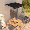 vidaXL Toldo retr&aacute;ctil manual gris antracita 300x250 cm