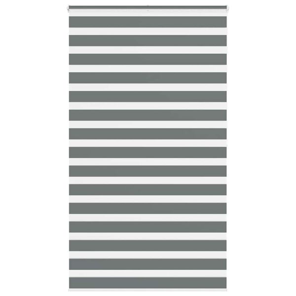 vidaXL Estor cebra gris oscuro tejido ancho 125,9 cm poli&eacute;ster