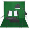 vidaXL Kit de estudio fotogr&aacute;fico con set de luces y fondo