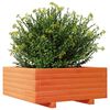 vidaXL Jardinera de madera maciza de pino marr&oacute;n cera 60x60x26,5 cm