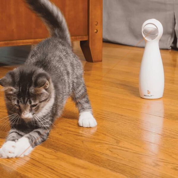 PetSafe Luz l&aacute;ser autom&aacute;tica FroliCat Bolt blanco