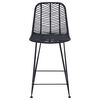 vidaXL Silla de Bar 2 pcs Negro 44,5 x 54,5 x 97,5 cm Ratan e Hierro