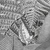 Imagen en miniatura del producto 6 de 7