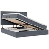 vidaXL Cama con almacenamiento y LED Gris oscuro 160 x 200 cm