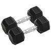 vidaXL Mancuernas 2 unidades total hierro fundido 8 kg
