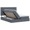 vidaXL Cama con almacenamiento Gris oscuro 180 x 200 cm Terciopelo