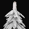 Imagen en miniatura del producto 3 de 8
