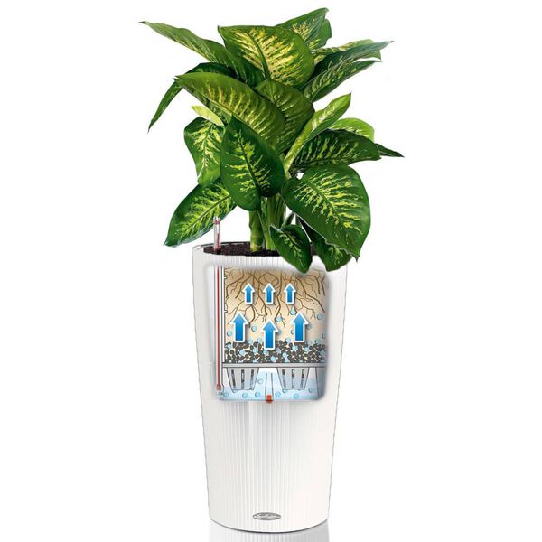 LECHUZA Macetero Cilindro Color 32 ALL-IN-ONE blanco 13950