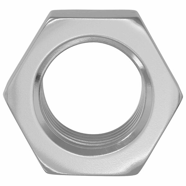 vidaXL Tuerca Hexagonal 9000 pcs Plateado Metal