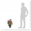 Imagen en miniatura del producto 3 de 3