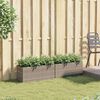 vidaXL Jardineras con 2 maceteros 2 uds rat&aacute;n PE gris 72x30x32 cm