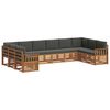 vidaXL Conjunto de sof&aacute;s de exterior 10 uds. Natural y Antracita