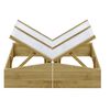 vidaXL Invernadero de madera de pino impregnada 2 uds 100x50x35 cm