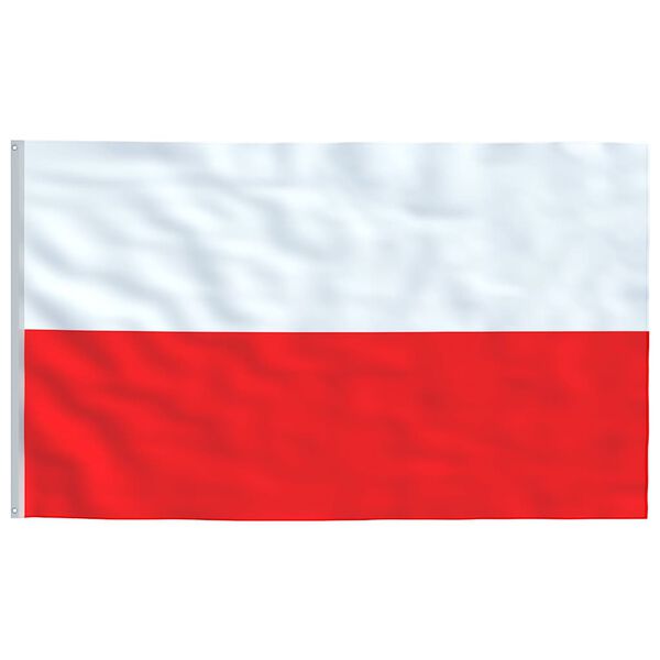 vidaXL M&aacute;stil y bandera de Polonia aluminio 5,5 m