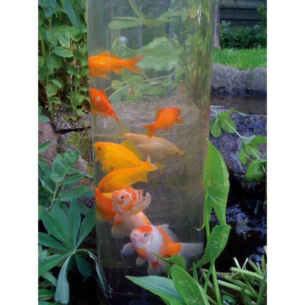 Ubbink Torre para peces 66 cm acr&iacute;lico