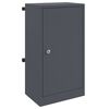 vidaXL Buz&oacute;n con almacenamiento Antracita 30 x 20 x 55 cm Acero