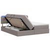 vidaXL Cama de almacenamiento LED con colch&oacute;n Topo 200 x 200 cm Tela
