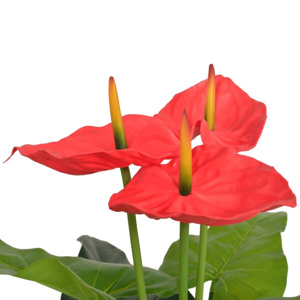 Mostrando imagen del producto 2 de 2