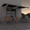 vidaXL Toldo retr&aacute;ctil manual con LED gris antracita 600x350 cm