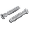 vidaXL Tornillo de cabeza cap 2 uds. Plateado M7 x 40 mm Acero