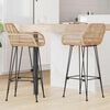vidaXL Silla de Bar 2 pcs Natural 55 x 52 x 92 cm Ratan e Hierro