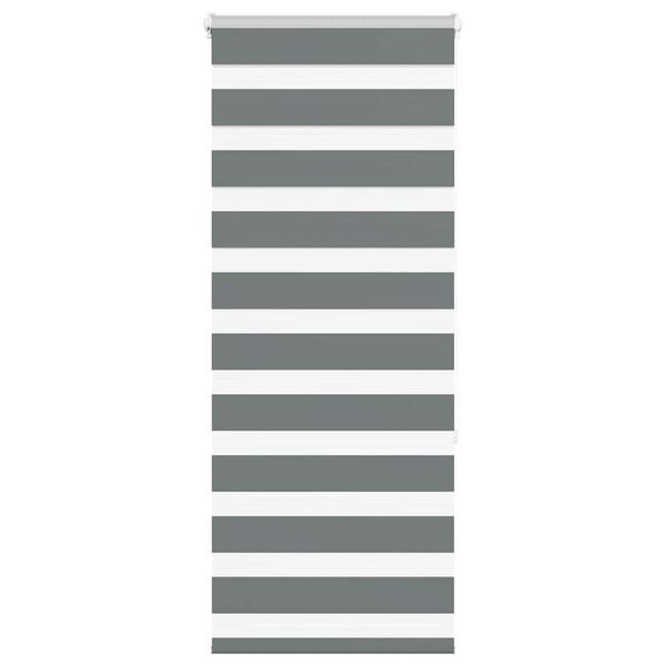 vidaXL Estor cebra gris oscuro 55x150cm tejido ancho 50,9 cm poli&eacute;ster