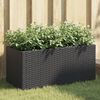 vidaXL Jardineras con 2 maceteros 2 uds rat&aacute;n PE negro 72x30x32 cm