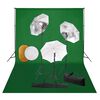 vidaXL Kit estudio fotogr&aacute;fico l&aacute;mparas, sombrillas, fondo y reflector