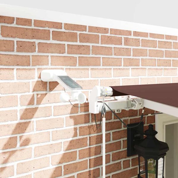 vidaXL Toldo retr&aacute;ctil autom&aacute;tico con luces LED marr&oacute;n 600x300 cm