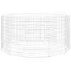vidaXL Cercado para animales de corral (12 paneles, 54 x 100 cm, hierro galvanizado)