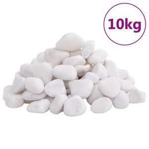 vidaXL Guijarros pulidos blancos 10 kg 2-5 cm