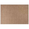 vidaXL Alfombra para interiores y exteriores AGIRA Natural Poli&eacute;ster