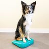 FitPAWS Rampa de equilibrio para mascotas azul 35x35x7 cm