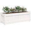 vidaXL Jardinera de madera maciza de pino blanca 90x31x31 cm