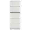 vidaXL Zapatero y espejo 5 niveles gris Sonoma 63x17x169,5 cm