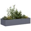 vidaXL Jardinera acero gris antracita 200x80x40 cm