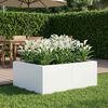 Imagen en miniatura del producto 3 de 10