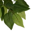 vidaXL Árbol ficus artificial con 756 hojas verde 150 cm