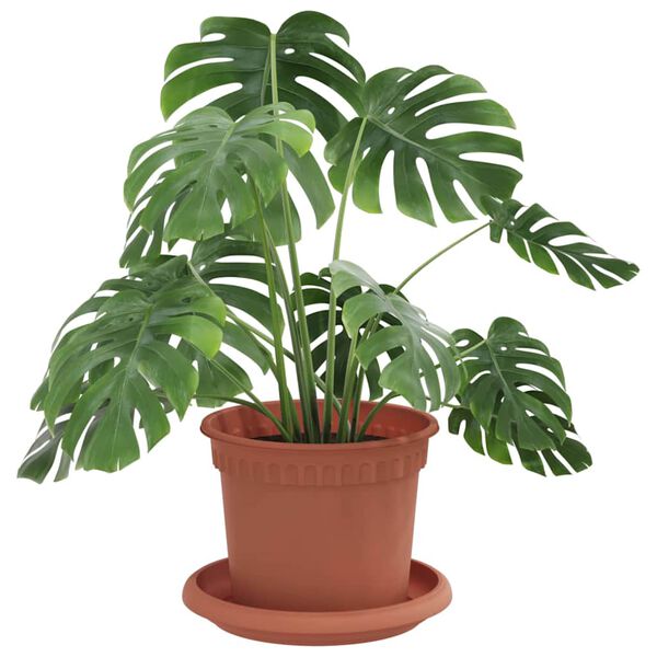 Mostrando imagen del producto 3 de 12