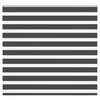 vidaXL Estor cebra negro 165x100 cm tejido ancho 160,9 cm poli&eacute;ster