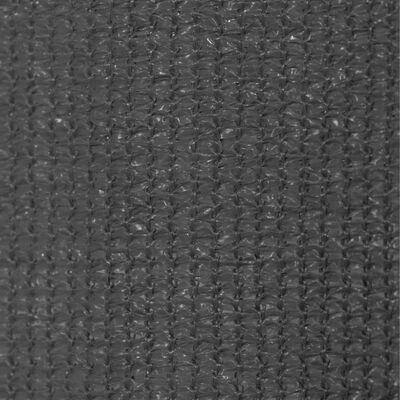vidaXL Persiana enrollable de exterior 80x230 cm gris antracita
